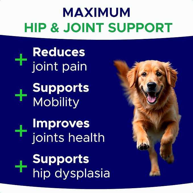 Hip & Joint