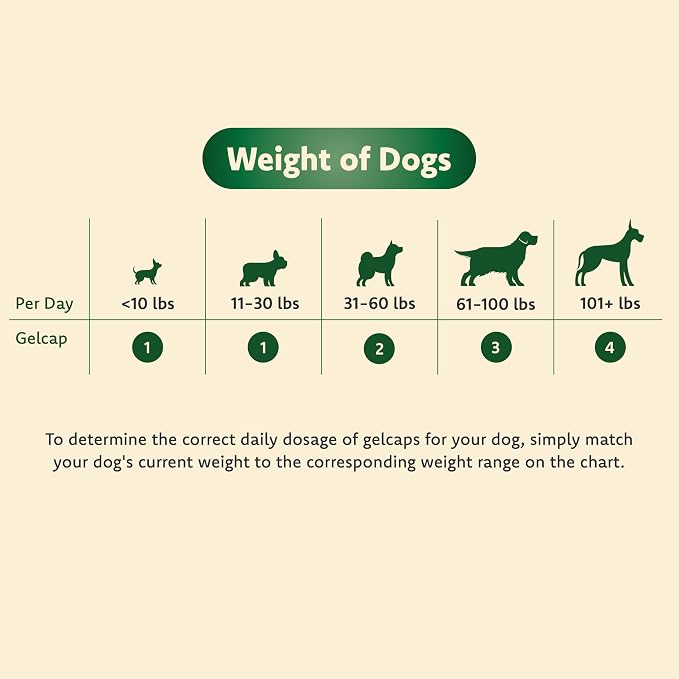 Small Dogs (10 lbs and Under)
