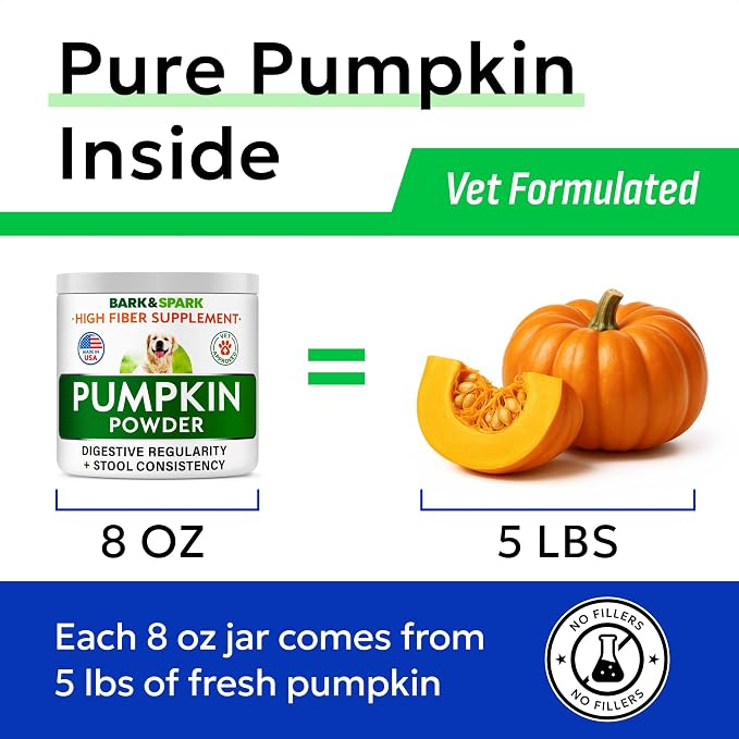 Pumpkin Powder