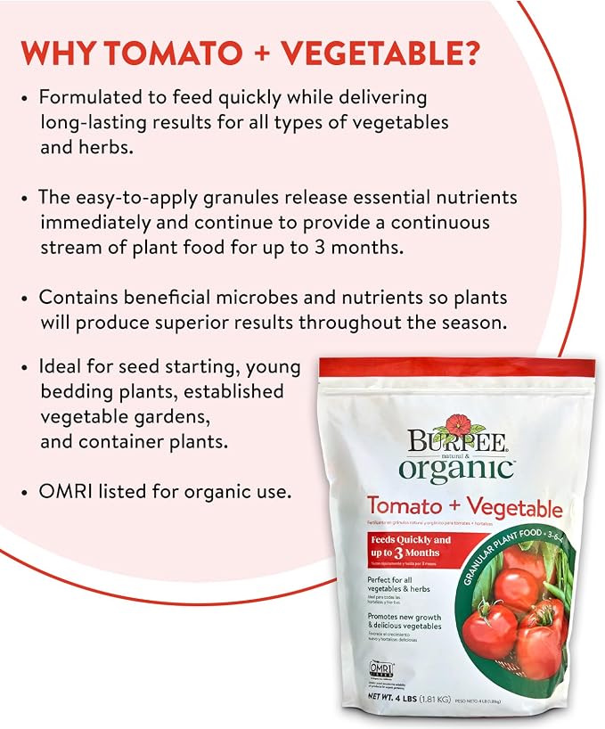 Tomato & Vegetable