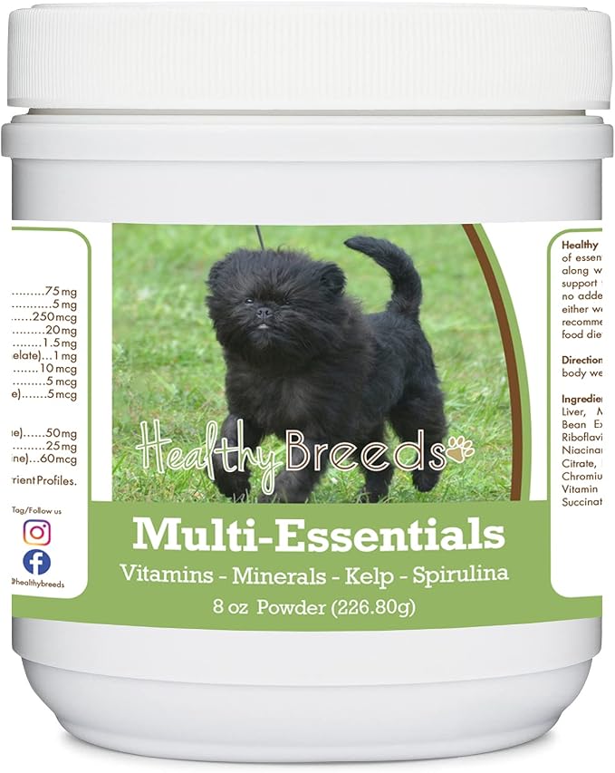 Affenpinscher