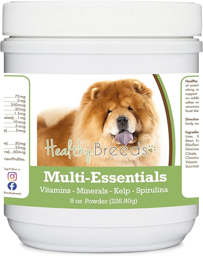 Chow Chow