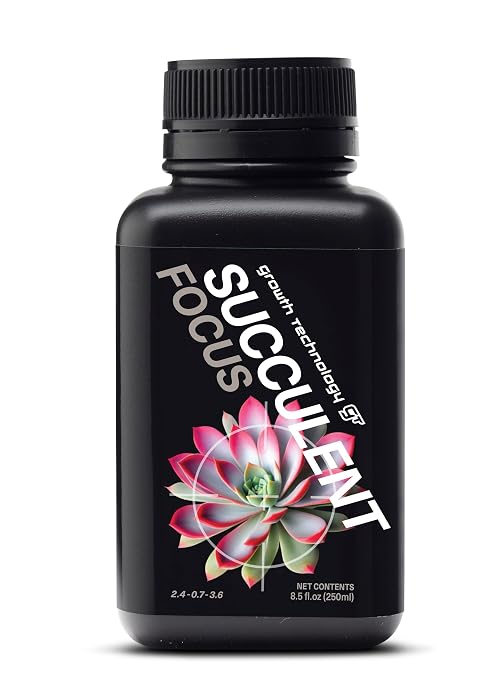 Succulent
