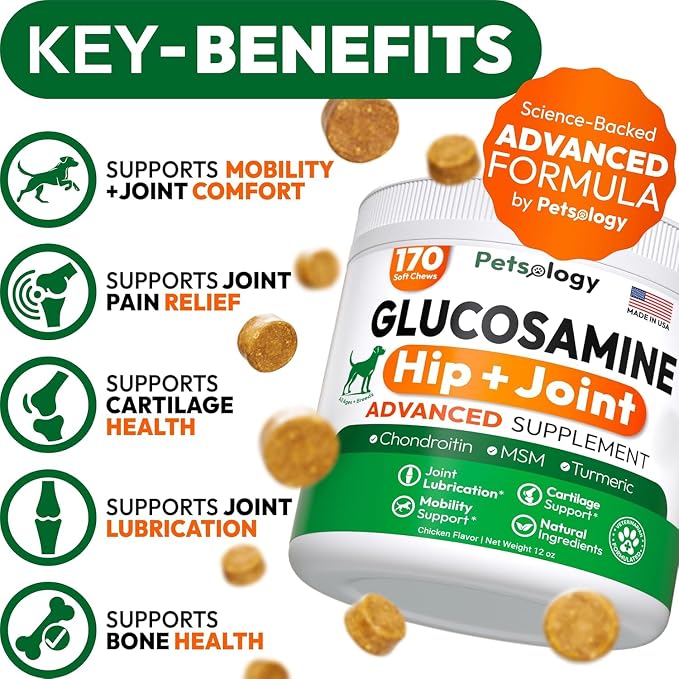Glucosamine Chews