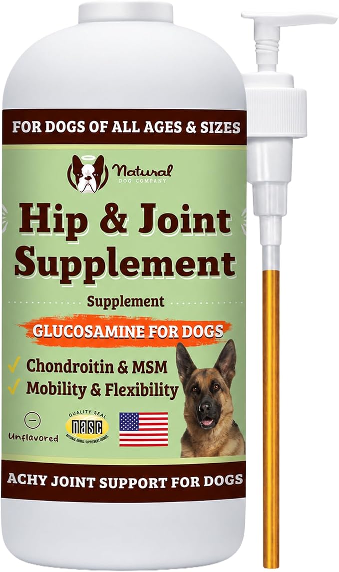 Hip and Joint