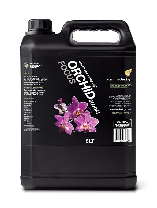 Orchid Bloom