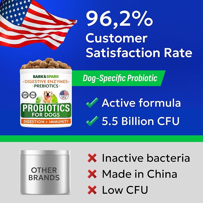 Probiotic Chews