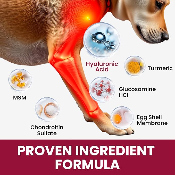 1.(HIP & JOINT) Mobility Chews