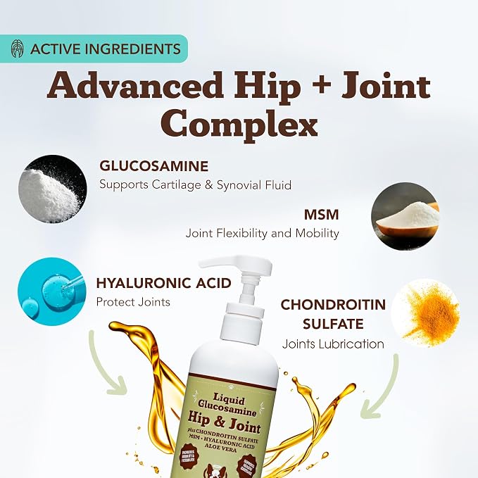 Hip and Joint