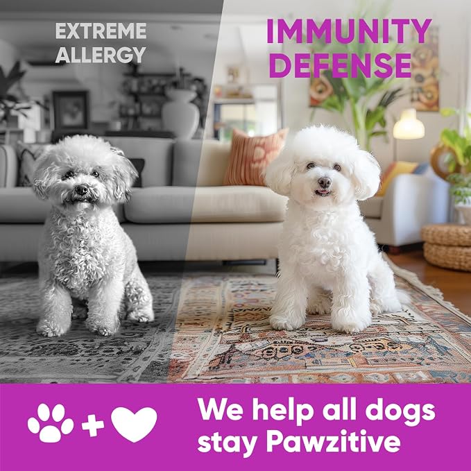 Allergy Support Chews