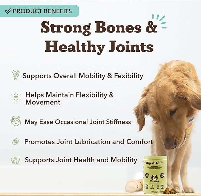 Hip and Joint