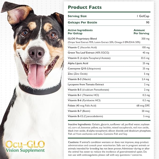 Medium to Large Dogs (11+ lbs)