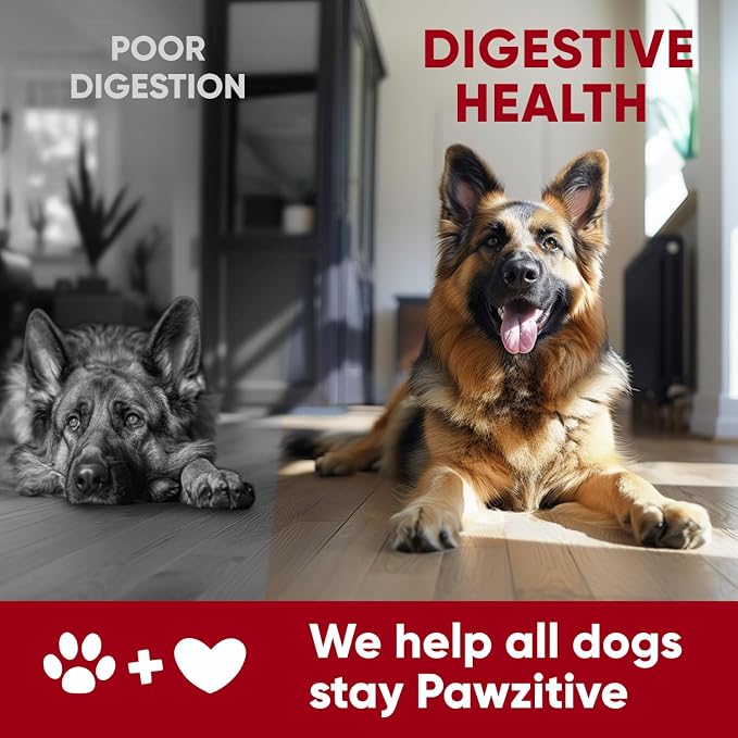 Probiotic & Enzymes Chews