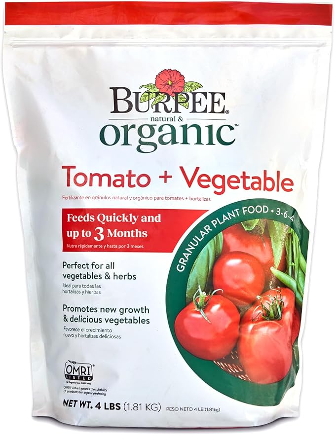 Tomato & Vegetable