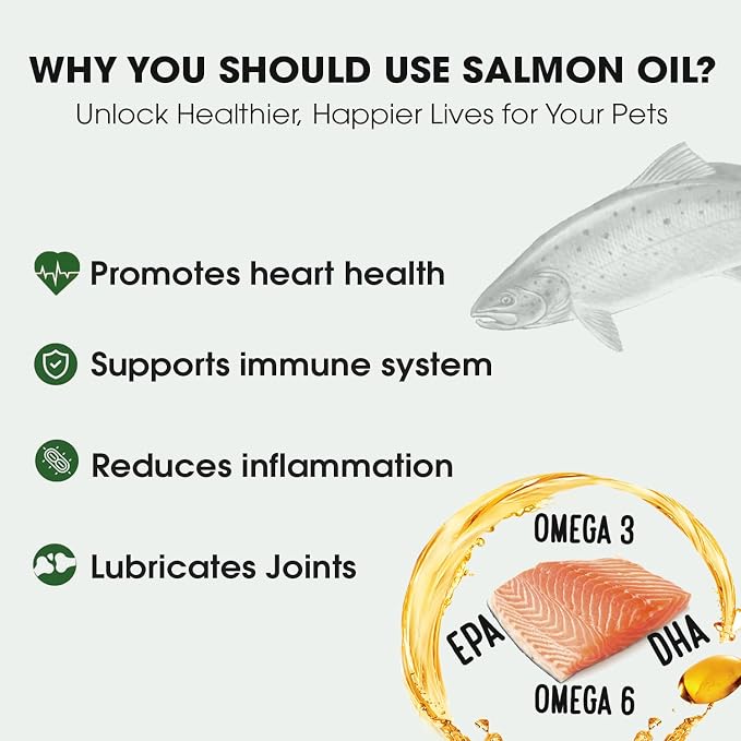 Salmon