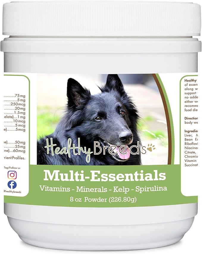 Belgian Sheepdog