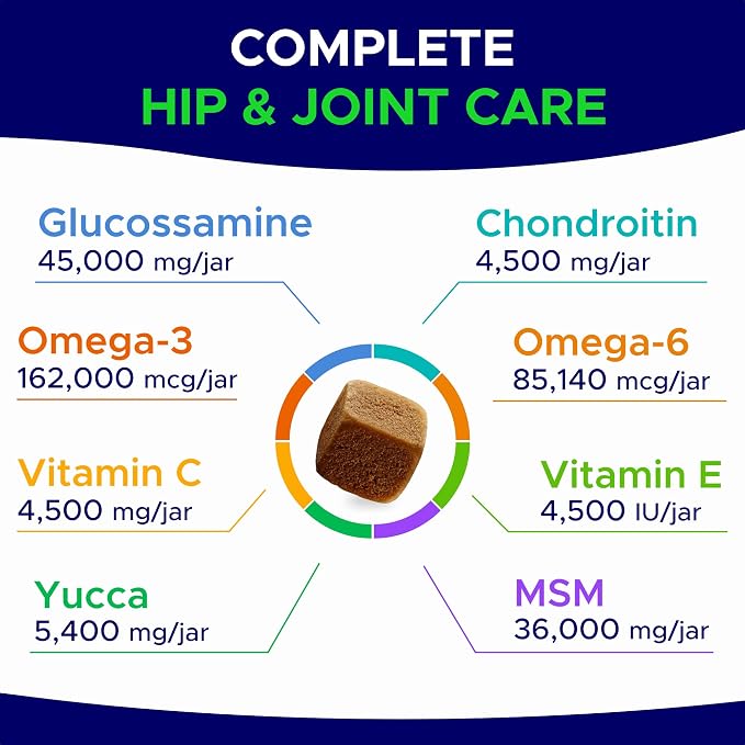 Hip & Joint