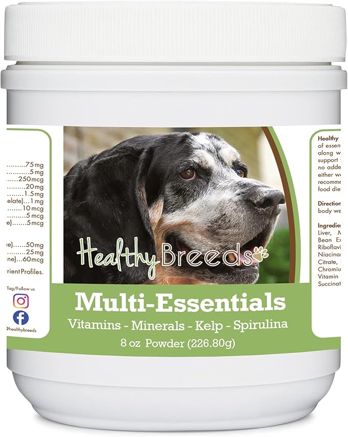 Bluetick Coonhound