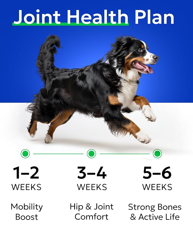 Hip&Joint (Mobility)