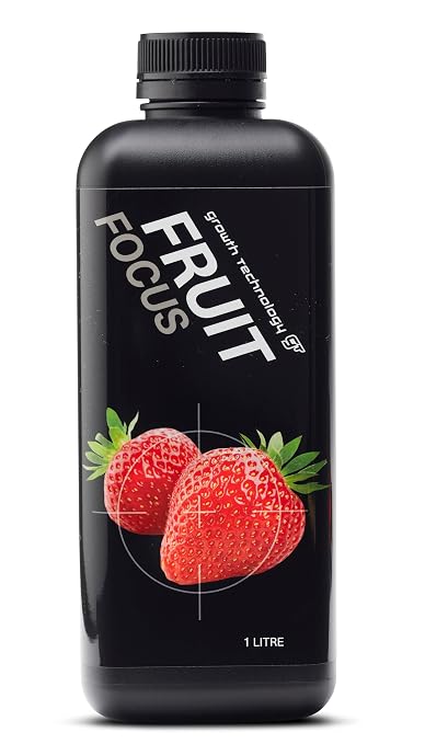 Fruit