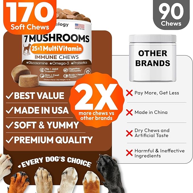 Mushroom Multivitamin