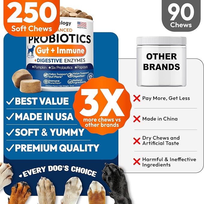 Probiotic Chews