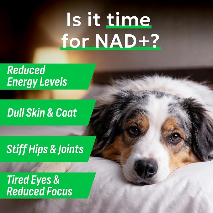 Longevity NAD+