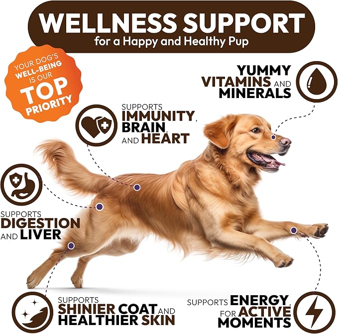 Mushroom Multivitamin