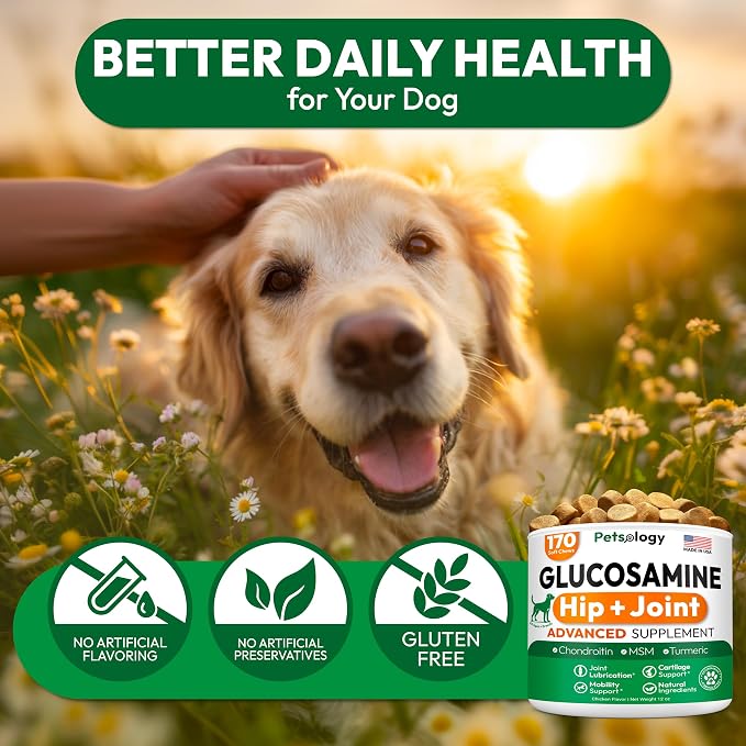 Glucosamine Chews