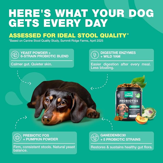 Probiotic Chews