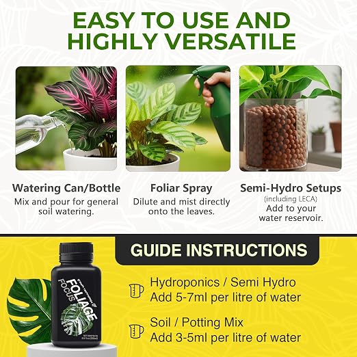Foliage