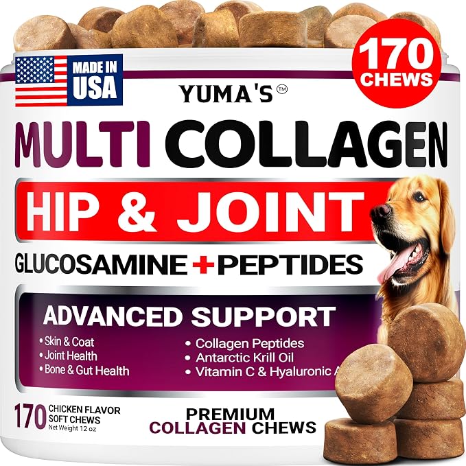Collagen Chews