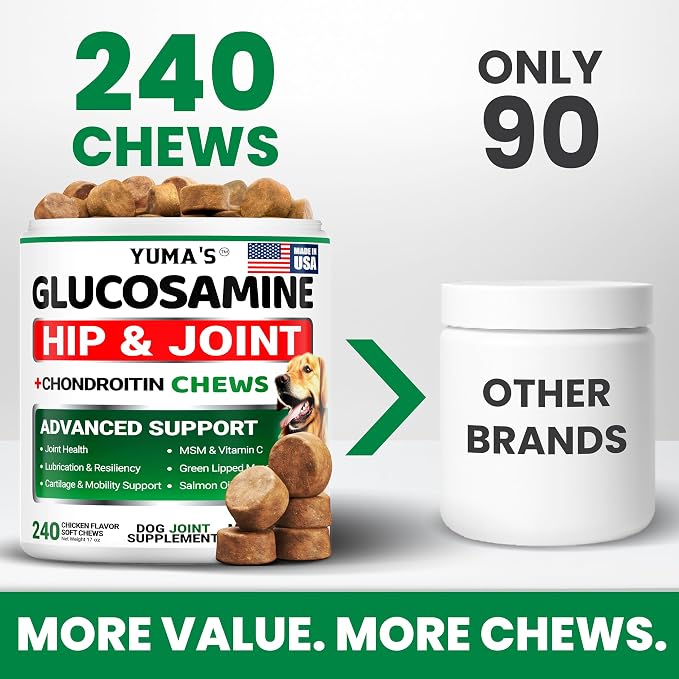 Glucosamine Chews