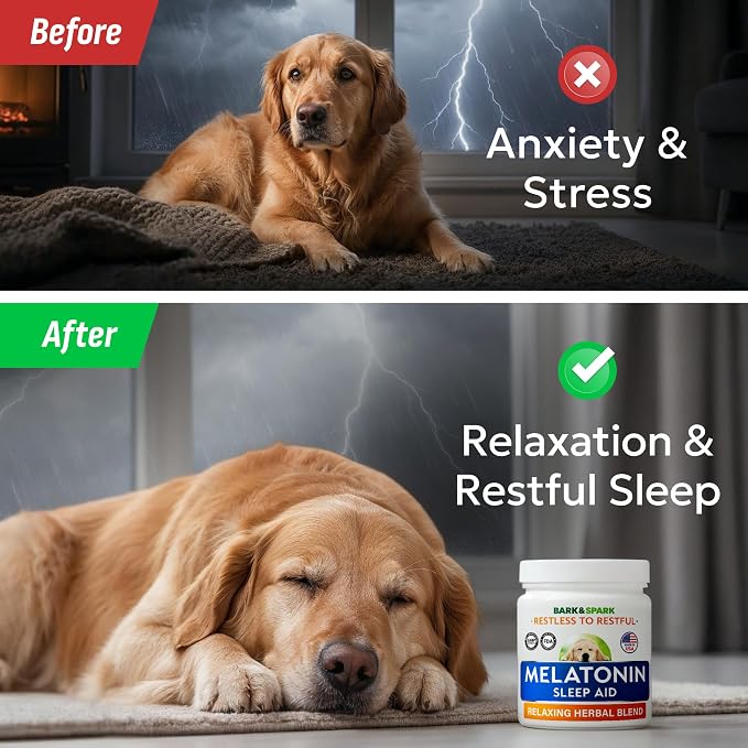Melatonin (Sleep Aid)
