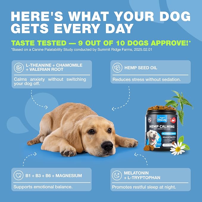 Beef Flavor Calming Chews