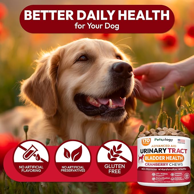 Cranberry Multivitamin