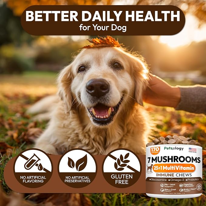 Mushroom Multivitamin