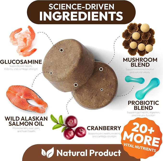 Mushroom Multivitamin