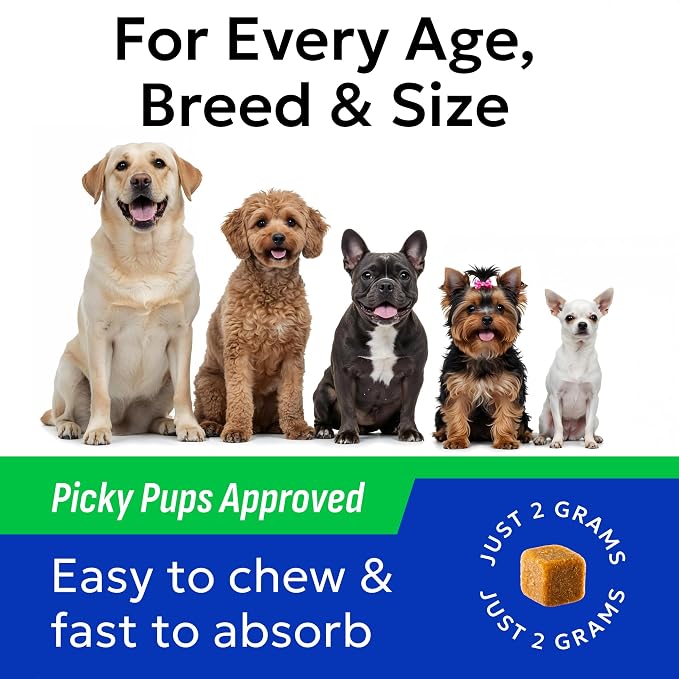 Probiotic Chews