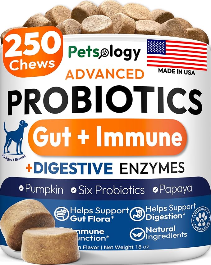 Probiotic Chews