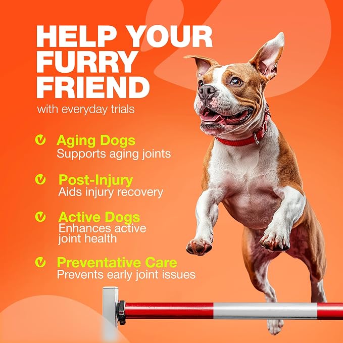 Hip & Joint Chews