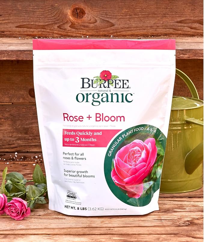 Rose & Bloom