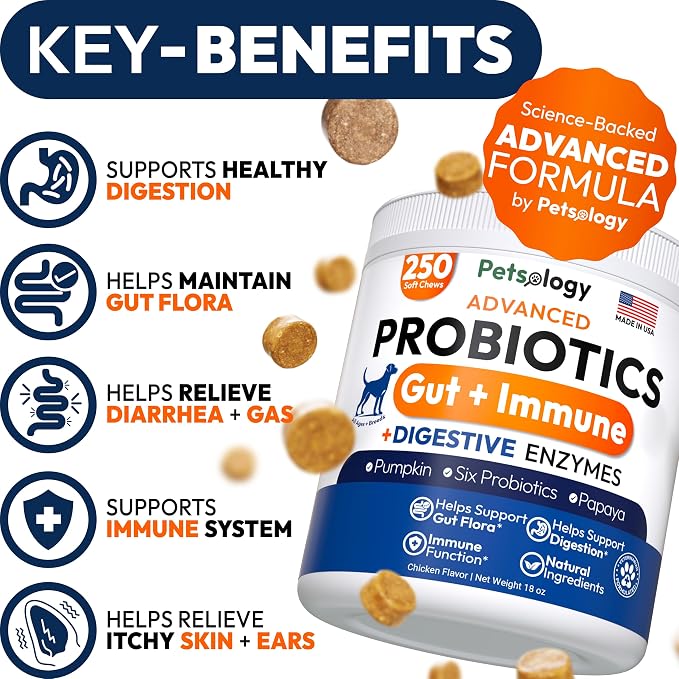 Probiotic Chews