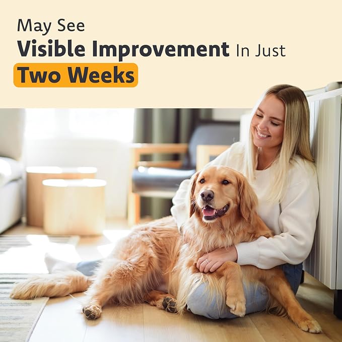 Medium to Large Dogs (11+ lbs)