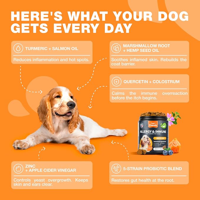 Allergy Support Chews