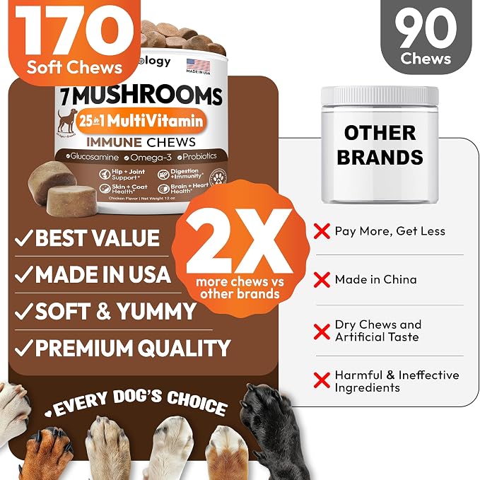 Mushroom Multivitamin
