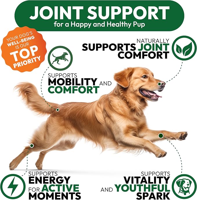 Glucosamine Chews