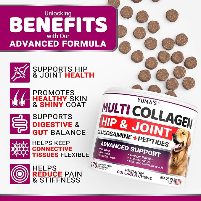 Collagen Chews