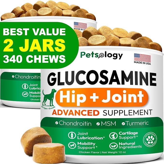 Glucosamine Chews