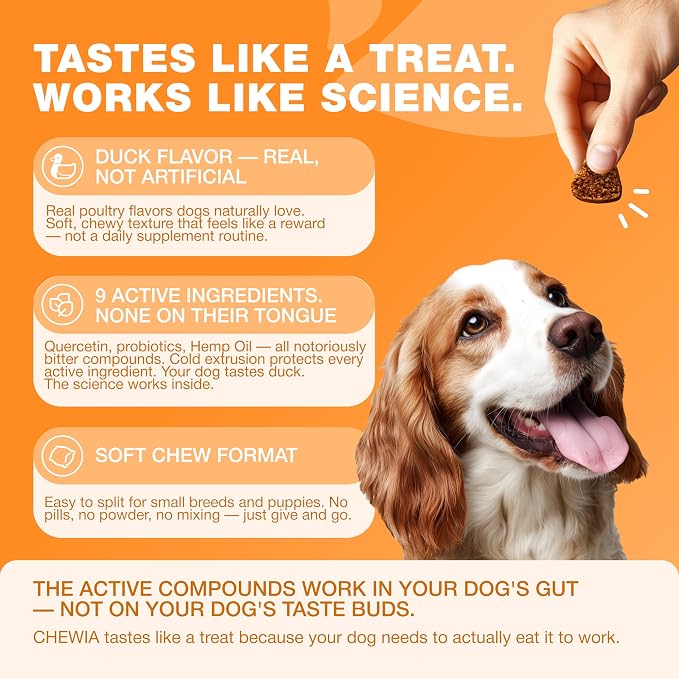 Allergy Support Chews